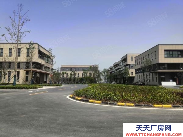 (出售) 郑州二七两层半特价厂房！首层挑高8.1米！50年产权！可按揭