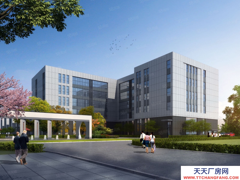(出售) 重庆璧山科学城独栋厂房出售 层高8.1米 可按揭可定制 配套完善