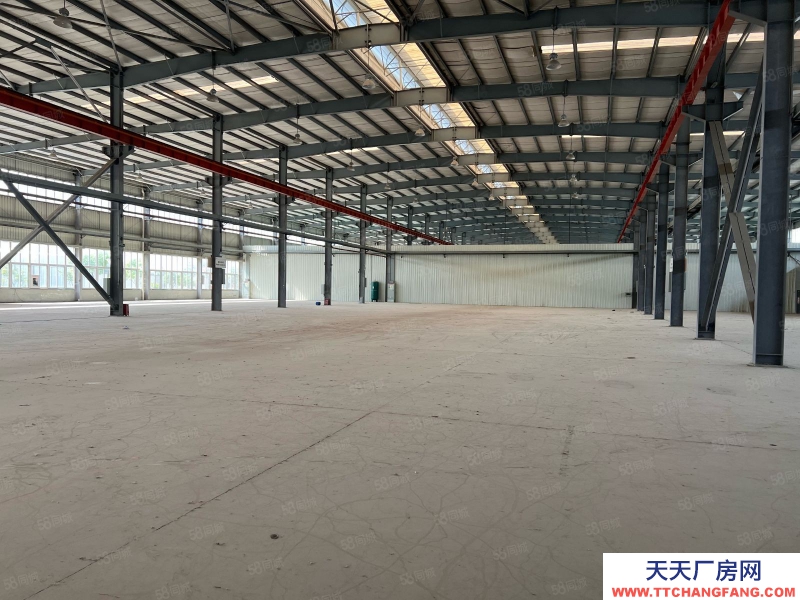 出租江津德感 双福2000平方独栋轻钢厂房