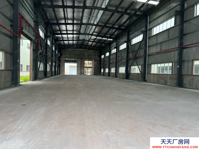 出租江津德感 双福2000平方独栋轻钢厂房