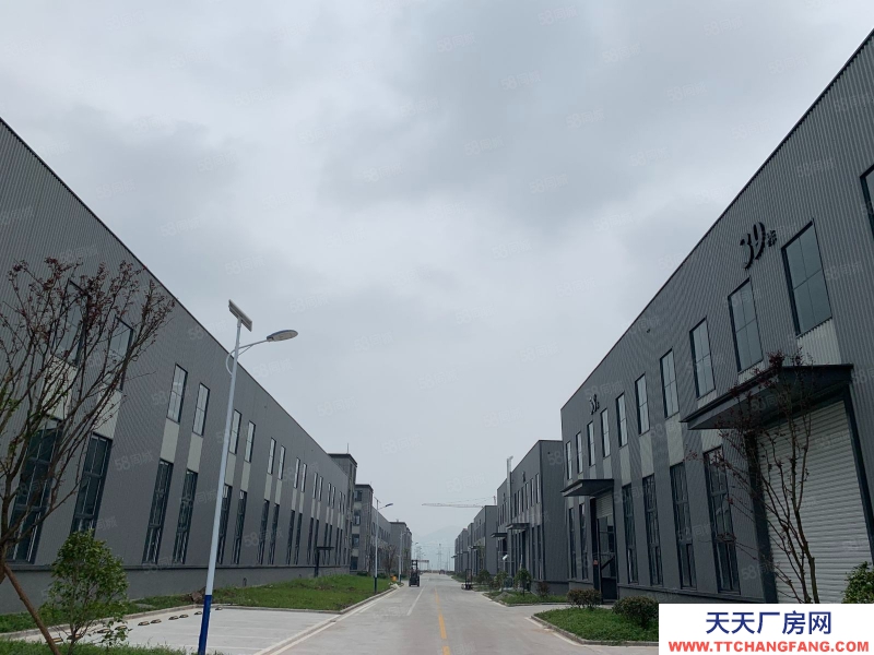 (出租) 重庆江津独栋独院钢构厂房出租，机加行业，24米拖挂车随意进出