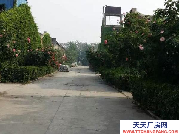 (出租) 郑州中原工厂大院二十余亩，有大小厂房仓库十几个现分租