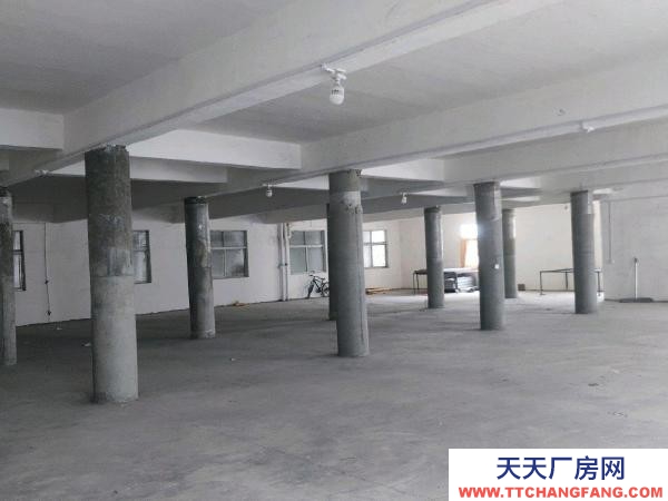 (出租) 郑州中原房东直租全市可售。