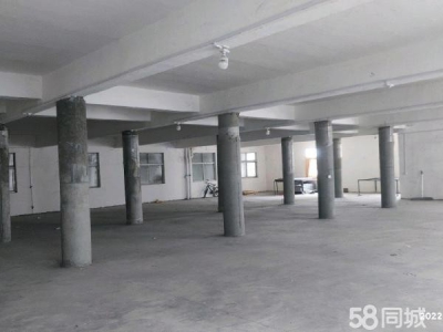 (出租) 郑州中原房东直租全市可售。图1