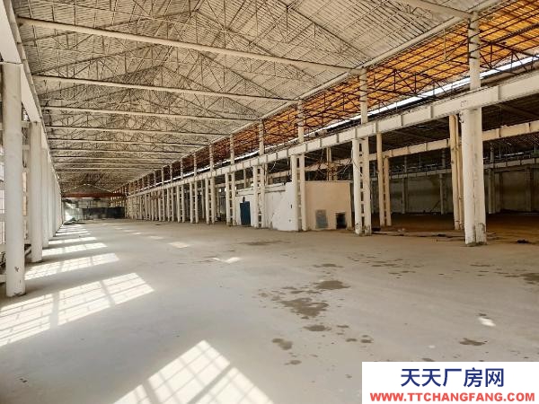 (出租) 郑州中原各种面积100平米到5000平米大小厂房和仓库