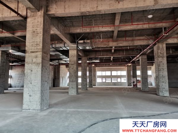 (出租) 全新标准化厂房 租售 宿舍食堂等全面配套
