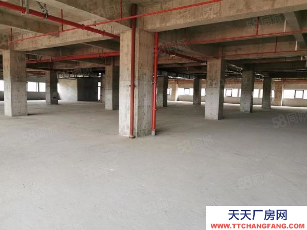 (出租) 全新标准化厂房 租售 宿舍食堂等全面配套