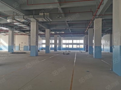 (出租) 全新标准化厂房 租售 宿舍食堂等全面配套图4