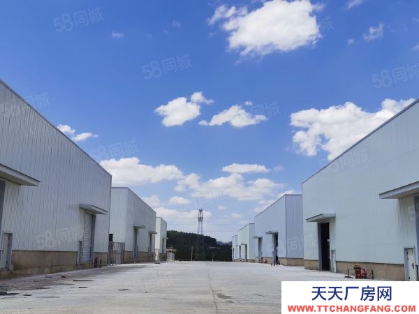 (出租) 澄江万诺产业园 标准化厂房 仓库 物业直租