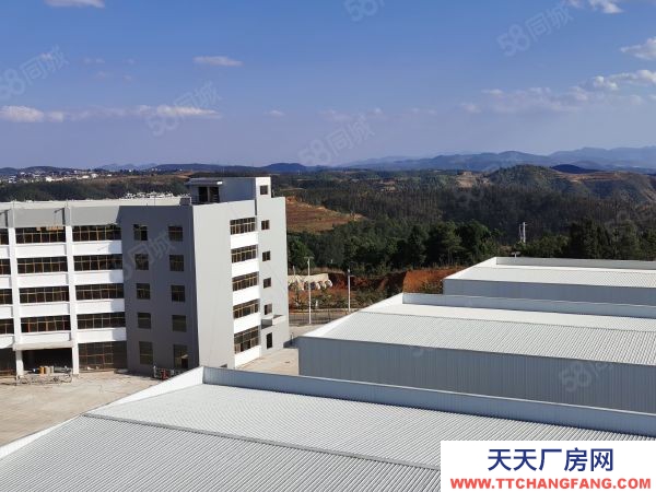 (出租) 澄江万诺产业园 标准化厂房 仓库 物业直租