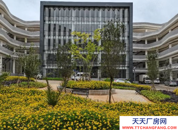 (出租) 国企保障，全新标准厂房出租，无中介，食堂宿舍配套齐全