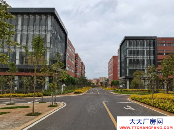 (出租) 国企保障，全新标准厂房出租，无中介，食堂宿舍配套齐全