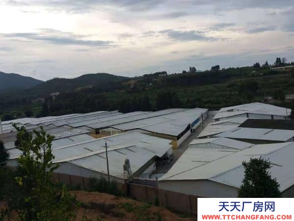 (出租) 自建厂房，交通便利，证照齐全