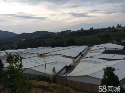 (出租) 自建厂房，交通便利，证照齐全图1