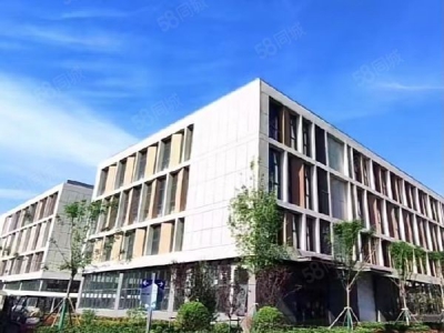 南京市鼓楼区地铁口，两层独栋，独立产权证，可按揭按环评图3