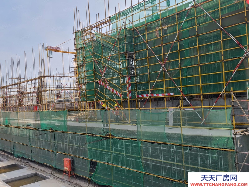 青岛市南中关村企业独办公楼1500到3000，4.2米层高，