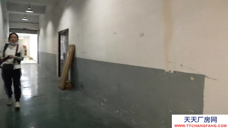 杭州上城(出租) 直租城东新城仓库330方特价处理，层高4米，后一间得房率高