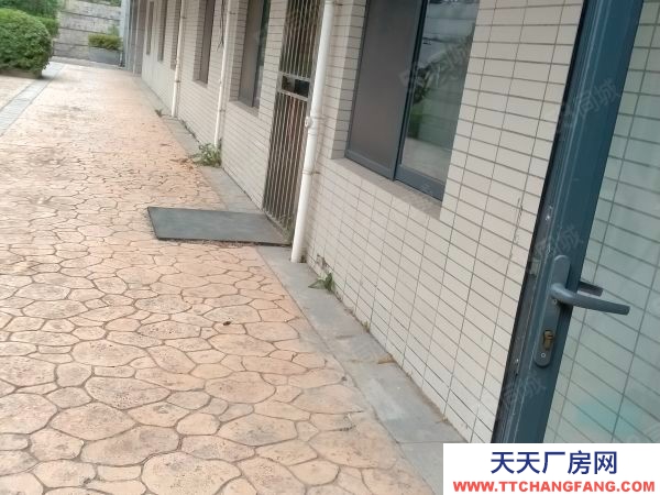 南京市 鼓楼姜家园250平门面出租，可办公仓储一体，可办各种证照