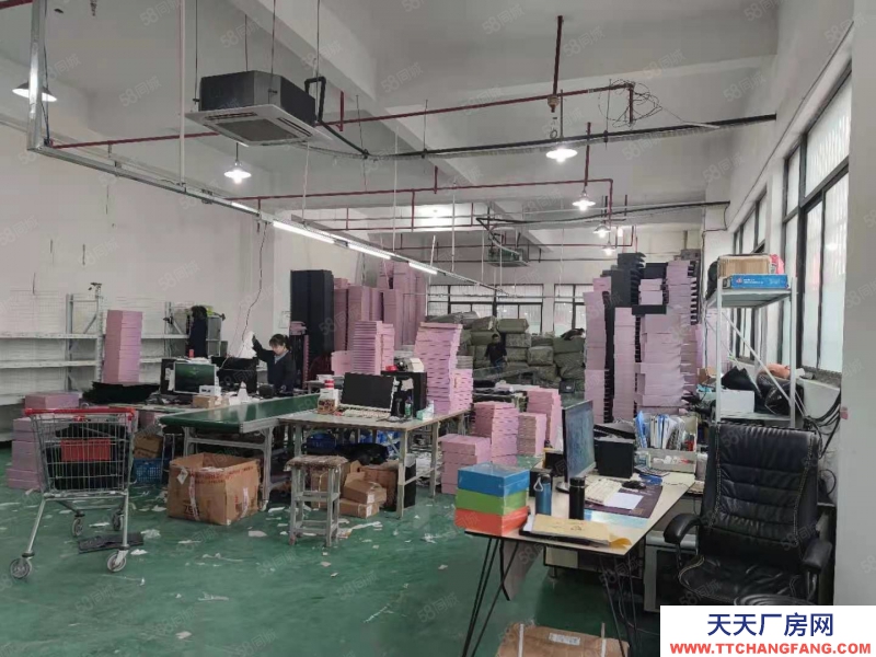 杭州上城(出租) 九堡一楼仓库出租 1280方 可分租 适合各类仓储使用