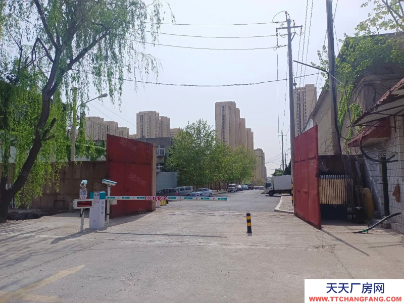 青岛市北水清沟1460平独栋独门独院 加工办公均可