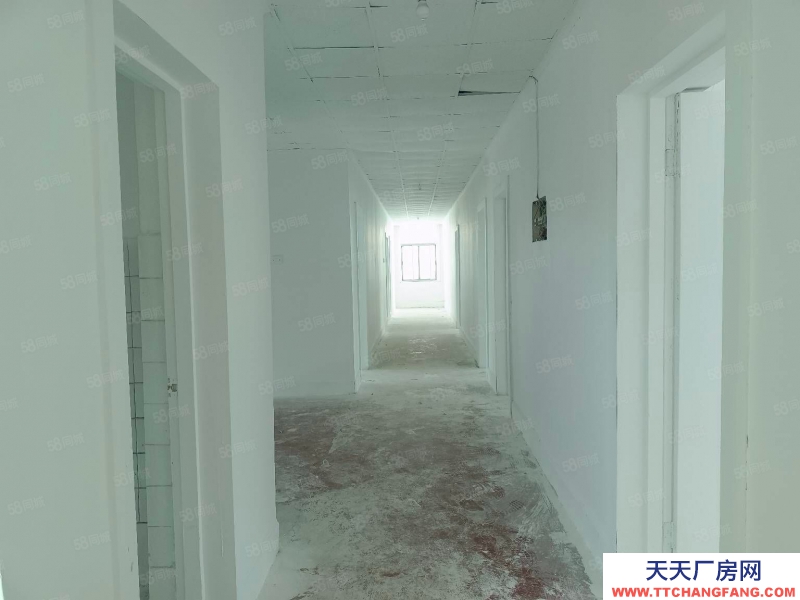 青岛市北水清沟1460平独栋独门独院 加工办公均可