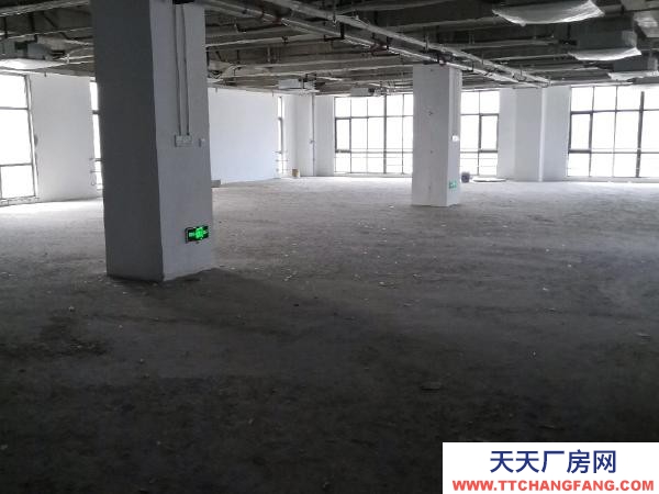 南京市秦淮区科创基地写字楼，厂房或仓库（1楼，有电梯），自有大楼直租