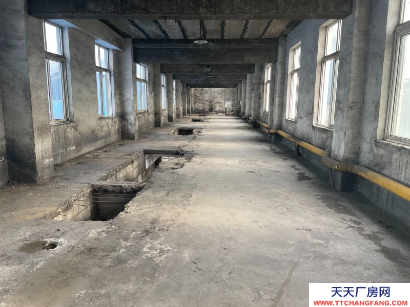 青岛市10000平米厂房出租