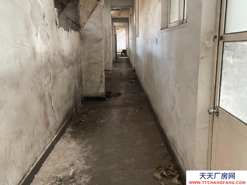 青岛市10000平米厂房出租