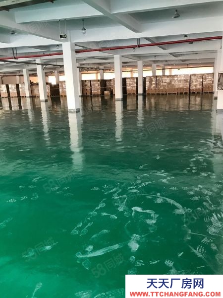 南京市秦淮区六合浦口出租，可分租，现房，生产办公