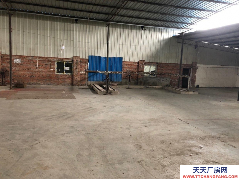 (出租) 重庆永川可租可售 标准化厂房 所有配套设施齐全