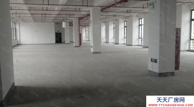 杭州上城(出售) 出售下沙工业区36亩60000多方全新厂房。.