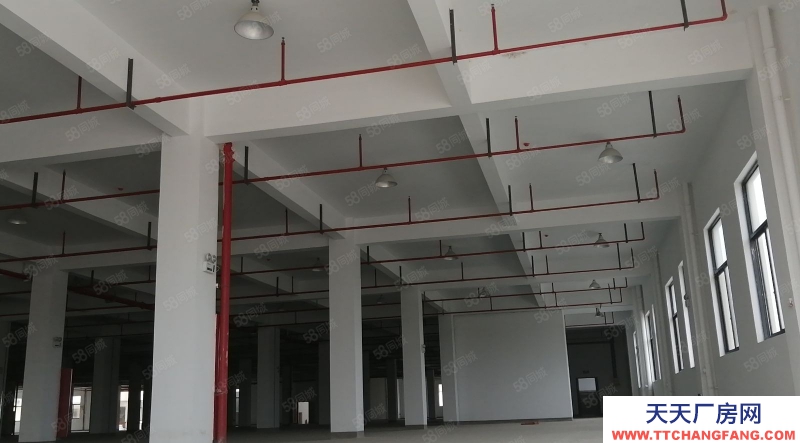杭州上城(出售) 出售下沙工业区36亩60000多方全新厂房。.