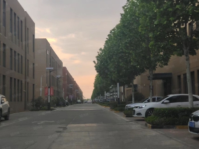 青岛市北9米层高，3000平2层独栋，出售图1