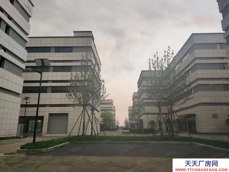 青岛市北9米层高，3000平2层独栋，出售