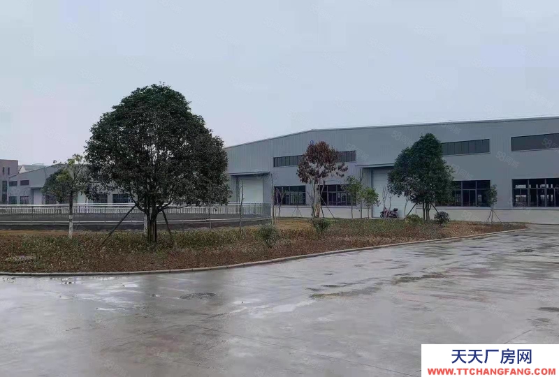 青岛市北杜村三宗地 双证41亩厂房6千平 有证10亩厂房6千平