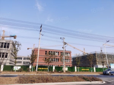 南京市六合区现房出租 急租 给钱就租图3