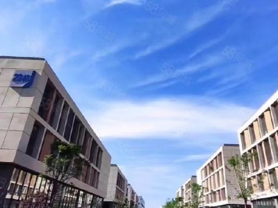 南京市六合区单层火车头10米层高总价400万起稀Q行车10吨图6