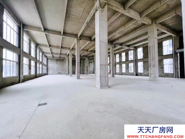 南京市六合区急急 天长市开发区 坤安智造 5万平直售