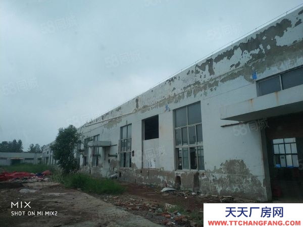 南京市六合区独门独院六合化工园占地30亩单层厂房4000多平两证齐全