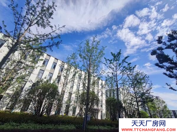 南京市雨花经济数字专题园区，可贷款有政策，高标准园区