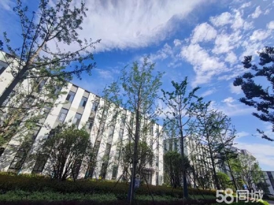 南京市雨花经济数字专题园区，可贷款有政策，高标准园区图5