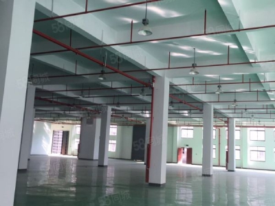 南京市雨花台区价格洼地价值高地产业新高地低总价独栋现房出售图3