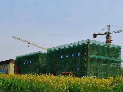 南京市雨花台区 独栋1600平标准厂房出售！可挂墙体品牌，50年双证大产权图4