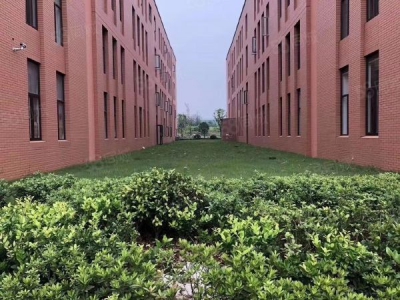 南京市雨花台区 独栋1600平标准厂房出售！可挂墙体品牌，50年双证大产权图5
