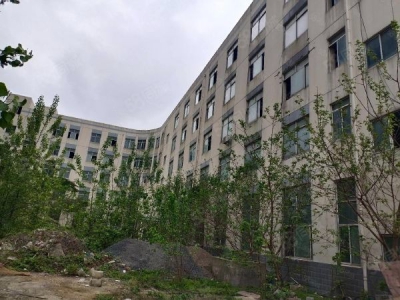 南京市雨花台区独门独院 雨花开发区工业园 厂房 占地10亩 两证齐全图5