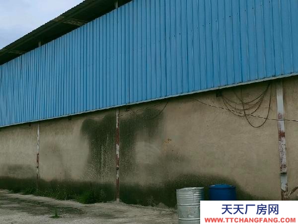 (出租) 小坡水果市场对面太和街道办事处背后