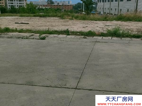 (出租) 小坡水果市场对面太和街道办事处背后