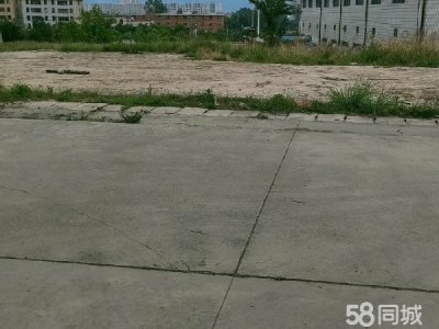 (出租) 小坡水果市场对面太和街道办事处背后图5