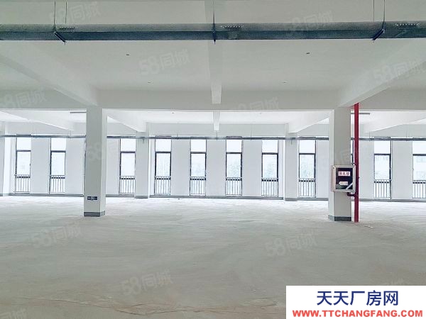 南京市雨花台区秣周东路地铁站未来科技城0.8元可分租标准全新独栋厂房