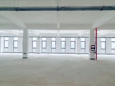 南京市雨花台区秣周东路地铁站未来科技城0.8元可分租标准全新独栋厂房图3